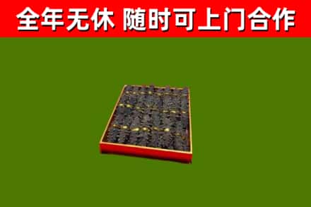 伊通县回收海参